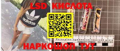 прущие грибы Малгобек