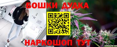 прущие грибы Малгобек
